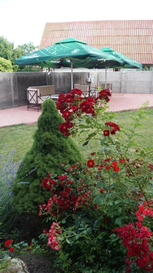 Hotel Bourbon Vama Veche Ngoại thất bức ảnh